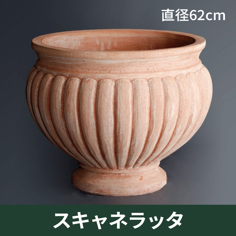 ★送料別途計算★【トスカーナ テラコッタ】スキャネラッタ／Φ62×H52／テラコッタ／素焼き鉢