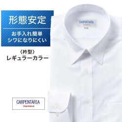 ワイシャツ[CARPENTARIA] レギュラーカラー ホワイトドビーストライプ 形態安定 標準型 DAPC15-08