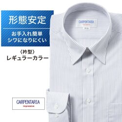 ワイシャツ[CARPENTARIA] レギュラーカラー ホワイト×グレーストライプ 形態安定 標準型 DAPC15-14