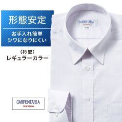 ワイシャツ[CARPENTARIA] レギュラーカラー パープル×ドビーダイヤ柄 形態安定 標準型 DAPC15-15