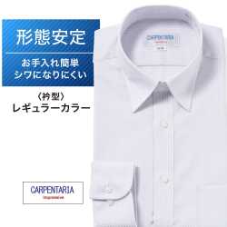 ワイシャツ[CARPENTARIA] レギュラーカラー ライトグレー ドビーチェック 形態安定 標準型 DAPC15-39