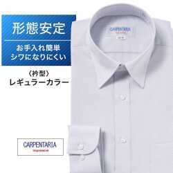 ワイシャツ[CARPENTARIA] レギュラーカラー ライトグレー ドビー斜め織り 形態安定 標準型 DAPC15-42