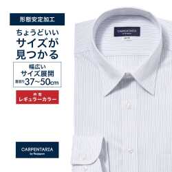 ワイシャツ[CARPENTARIA] レギュラーカラー ホワイト×ブルー系ストライプ 形態安定 標準型 DAPC15-44