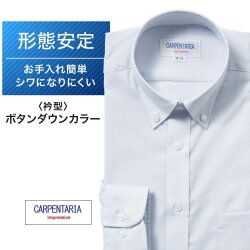 ワイシャツ[CARPENTARIA] ボタンダウン ブルーグレー×ドビー市松模様 形態安定 標準型 DAPC16-13