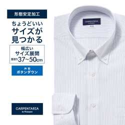 ワイシャツ[CARPENTARIA] ボタンダウン ホワイト×ブルー系ストライプ 形態安定 標準型 DAPC16-44