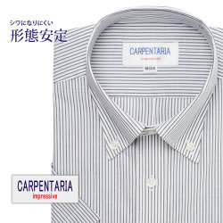 半袖ワイシャツ[CARPENTARIA] ボタンダウン ホワイト×ブラックストライプ 形態安定 標準型 DHPC24-07