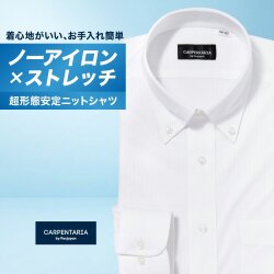 ワイシャツ[CARPENTARIA] ボタンダウン ノーアイロン ストレッチ 吸水速乾 ホワイト ストライプ 形態安定 標準型 DWPC01-01