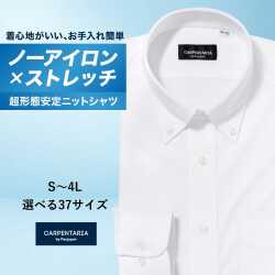 ワイシャツ[CARPENTARIA] ボタンダウン ノーアイロン ストレッチ 吸水速乾 ホワイト ストライプ 形態安定 標準型 DWPC01-01