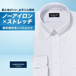 ワイシャツ[CARPENTARIA] ボタンダウン ノーアイロン ストレッチ 吸水速乾 パープル ストライプ 形態安定 標準型 DWPC01-97