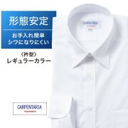 ワイシャツ[CARPENTARIA] レギュラーカラー ホワイトドビーチェック 形態安定 標準型 DAPC15-09