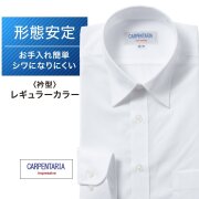 ワイシャツ[CARPENTARIA] レギュラーカラー ホワイトドビー小紋柄 形態安定 標準型 DAPC15-11