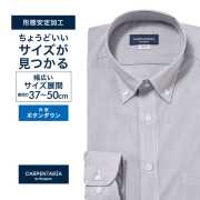 ワイシャツ[CARPENTARIA] ボタンダウン ホワイト×グレージュストライプ 形態安定 標準型 DAPC16-45