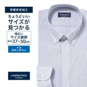 ワイシャツ[CARPENTARIA] ボタンダウン ホワイト×ブルーストライプ 形態安定 標準型 DAPC16-47