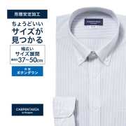 ワイシャツ[CARPENTARIA] ボタンダウン ホワイト×グレーストライプ 形態安定 標準型 DAPC16-48