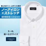 ワイシャツ[CARPENTARIA] ボタンダウン ノーアイロン ストレッチ 吸水速乾 ホワイト ストライプ 形態安定 標準型 DWPC01-01