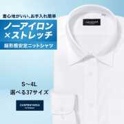 ワイシャツ[CARPENTARIA] ワイドスプレッド ノーアイロン ストレッチ 吸水速乾 ホワイト 無地 形態安定 標準型 DWPC01-02