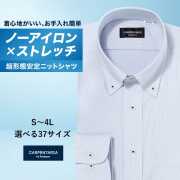 ワイシャツ[CARPENTARIA] ボタンダウン ノーアイロン ストレッチ 吸水速乾 ブルー ストライプ 形態安定 標準型 DWPC01-98