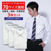 ワイシャツ[CARPENTARIA] レギュラーカラー 形態安定 標準型 E12S3R101