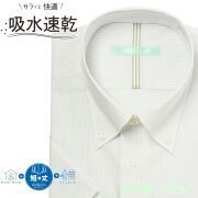 半袖ワイシャツ[colornavi] ボタンダウン 吸水速乾 短尺 ホワイト×モスグリーンストライプ 形態安定 標準型 P16CVB091