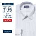 ワイシャツ[CARPENTARIA] レギュラーカラー ホワイト×ブルー系ストライプ 形態安定 標準型 DAPC15-44