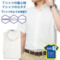 【メール便可】半袖ワイシャツ[SHIRT-T] ボタンダウン ストレッチ 吸水速乾 短尺 ホワイト無地ニット 標準型 P15SIB204