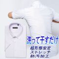 半袖ワイシャツ[TECHNOWAVE] ボタンダウン 超形態安定 ストレッチ ライトパープル鹿の子織り 形態安定 標準型 P16TWB284