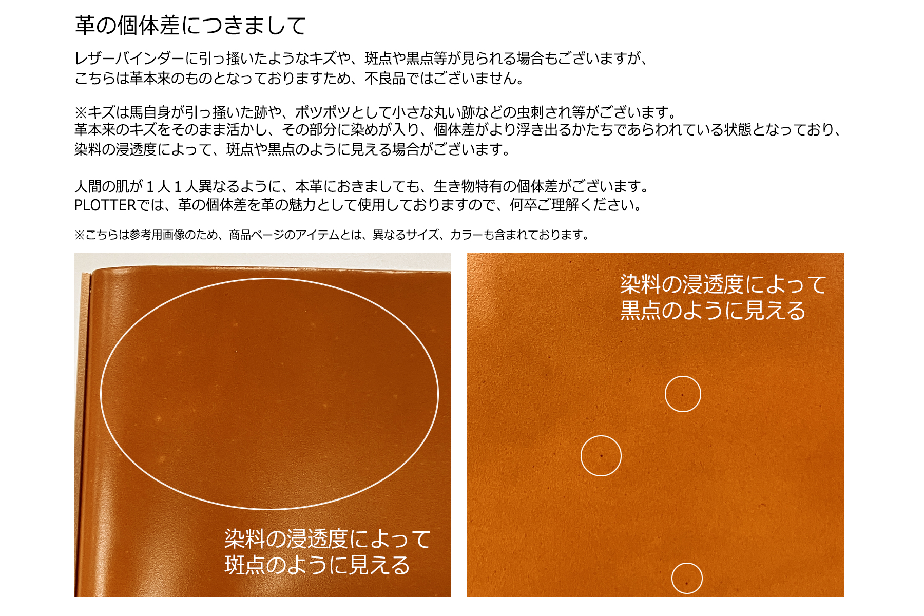 PLOTTER（プロッター）公式通販｜オンラインショップ限定 コードバン 6 