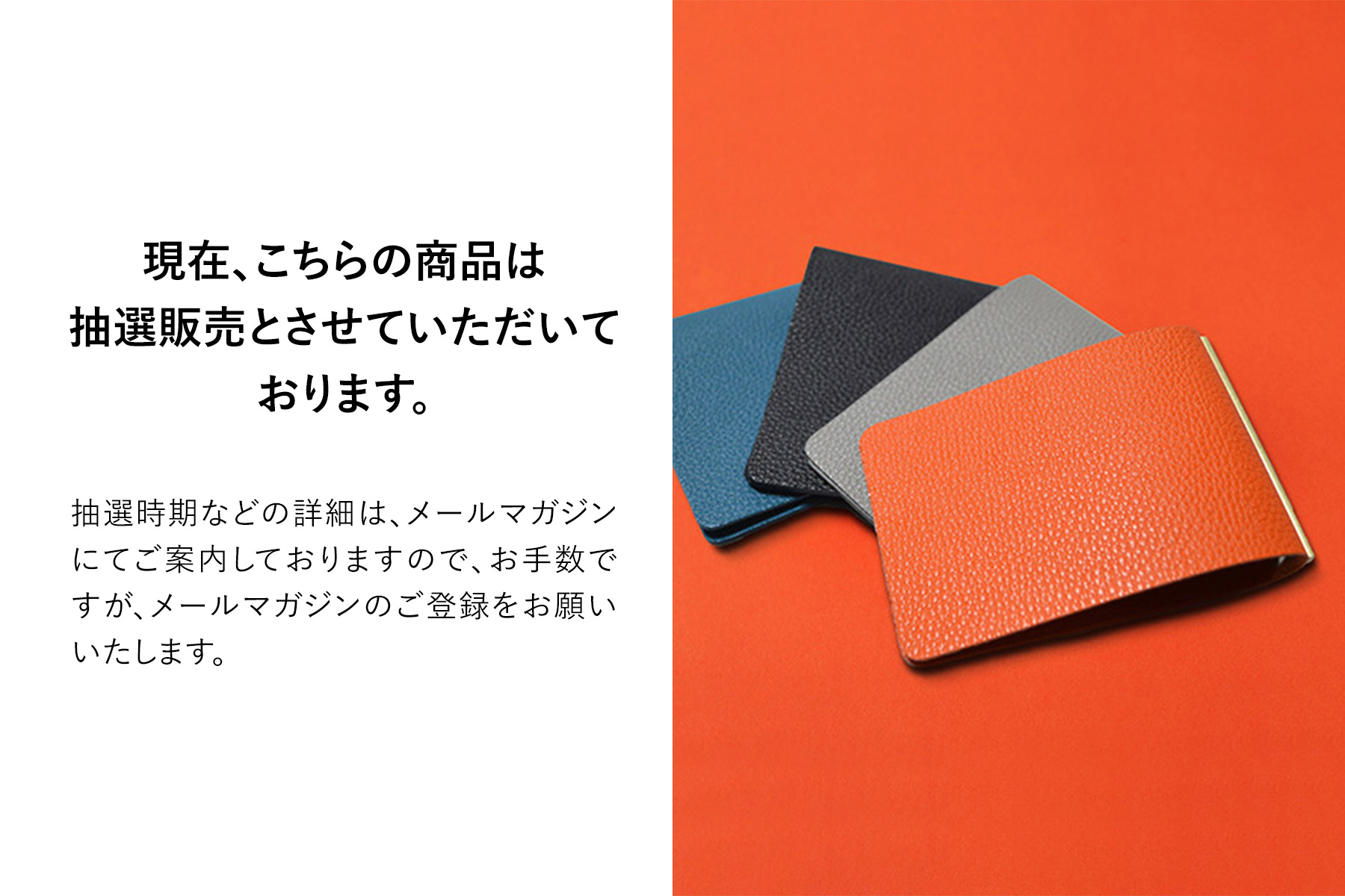 バインダー　11冊 ファイブチャート バインダー クリア ＜A4＞ | 製品情報 | Maruman