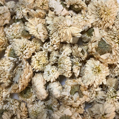 カモマイルローマン