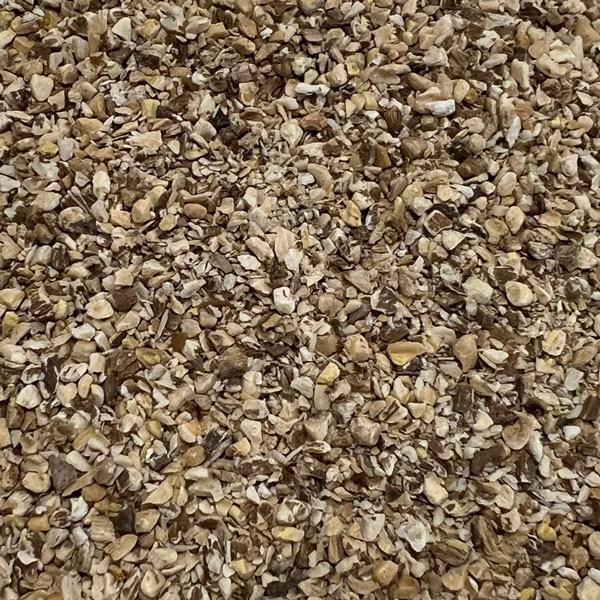 ダンディライオン