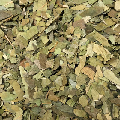 ギムネマ