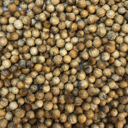 コリアンダーシード