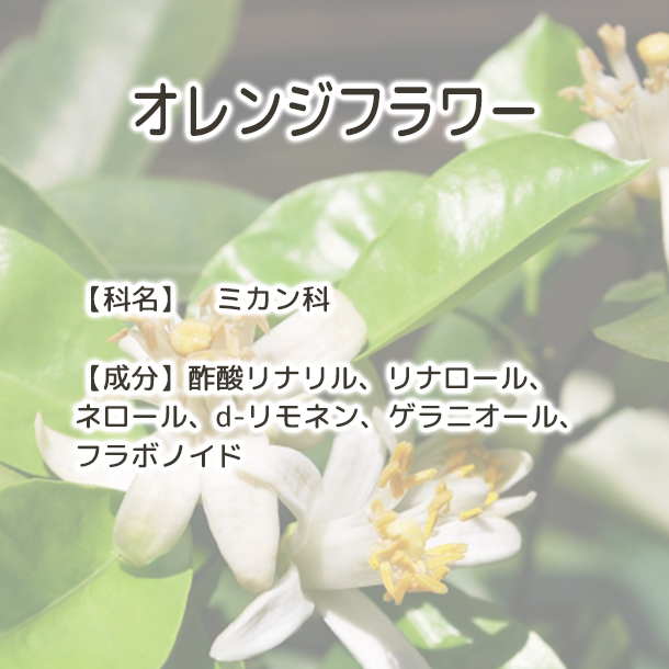 ハーブティー通販】オレンジフラワー ハーブ専門店【プラスハーブ