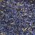 コーンフラワー