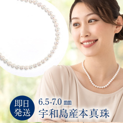 真珠 冠婚葬祭 ネックレス パールネックレス 宇和島産 本真珠 6.5-7.0mm