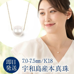 パールネックレス 真珠 ネックレス 一粒 18金 K18 宇和島産 あこや本真珠 7.0-7.5mm プレゼント