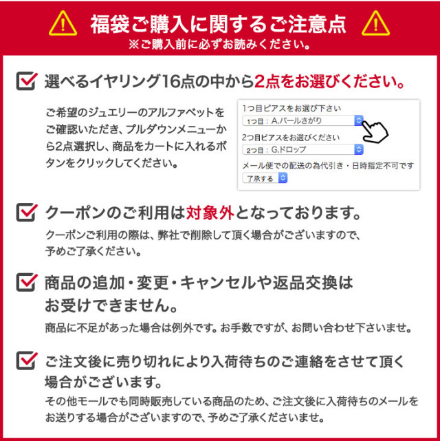 【2点選べる福袋専用チケット】イヤリング レディース 金属アレルギー 樹脂クリップ アレルギーフリーイヤリング2点セット福袋