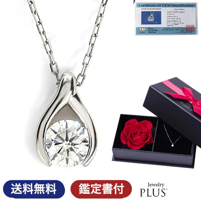 ダイヤモンド ネックレス レディース PLUSTER プラチナ 一粒 ドロップ 