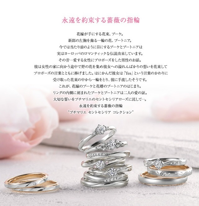結婚指輪 プラチナ ペア リング 指輪 マリッジリング マリッジ ペアリング メンズ ジュエリー アクセサリー K18pg ショコラ ピンクゴールド ブランド プチマリエ シンプル Marriage Ring ペアジュエリー プレゼント 男性 記念日 ギフト
