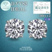 ダイヤモンド ピアス 2.0カラット 2.0ct D-VVS2-IC IGI 鑑定書付き 一粒 プラチナ ダイヤモンドピアス ダイヤピアス ラウンド 一粒ダイヤ プラチナピアス PT900 ラボグロウン レディース ジュエリー アクセサリー シンプル 誕生日 プレゼント ギフト