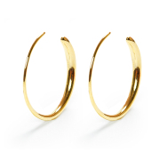 ピアス レディース フープ 小さめ 金属アレルギー フープピアス フック フックピアス シンプル ニッケルフリー イエロー ゴールド イエローゴールド 両耳 アレルギーフリー ノンアレルギー ジュエリー アクセサリー 小さい 小ぶり きれいめ 2000円 ポッキリ 送料無料