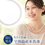 真珠 冠婚葬祭 ネックレス パールネックレス 宇和島産 本真珠 6.5-7.0mm 母の日