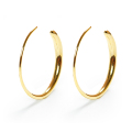 ピアス レディース フープ 小さめ 金属アレルギー フープピアス フック フックピアス シンプル ニッケルフリー イエロー ゴールド イエローゴールド 両耳 アレルギーフリー ノンアレルギー ジュエリー アクセサリー 小さい 小ぶり きれいめ 送料無料 母の日
