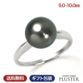 黒真珠 リング 指輪 グレー 黒蝶真珠 9-10mm 一粒 プラチナ PT900 冠婚葬祭 パールリング ブラックパール ブラックフォーマル ブランド シンプル セレモニー 真珠 法事 葬式 通夜 葬儀 南洋 黒蝶 ジュエリー アクセサリー 母 女性 プレゼント 誕生日 ギフト お祝い