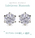LabGrownDiamondダイヤモンドピアスK100.12ct