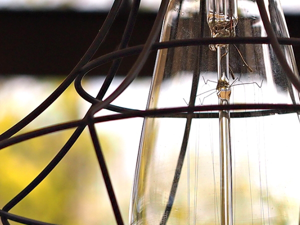 POLIGONAL（ポリゴナル）シーリングランプ