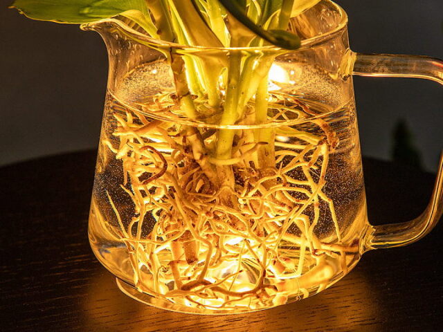 グローク テーブルライト GLOAK TABLE LIGHT TC-1061【gram eight】  グラムエイト