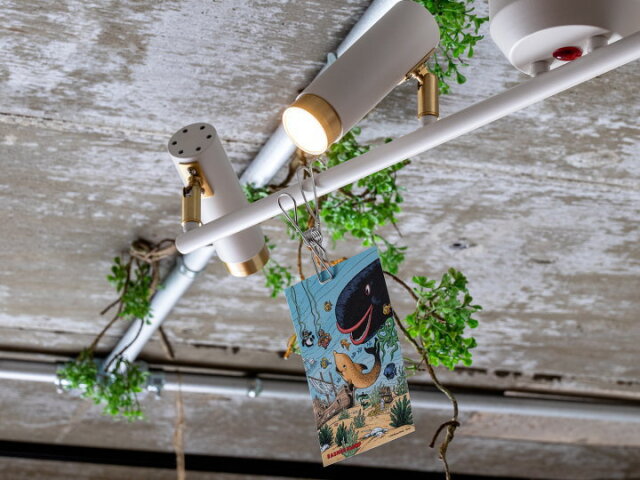 【リモコン付き】4灯 NOSH ノーシュ LED スポットライト TC-1021  【TIC】