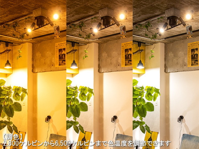 NOSH ノーシュ LEDスポットライト（ライティングレール取付仕様） TC