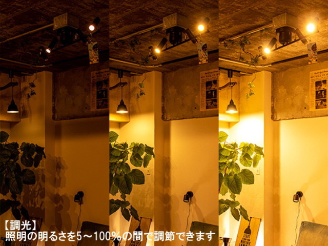 NOSH ノーシュ LEDスポットライト（ライティングレール取付仕様） TC
